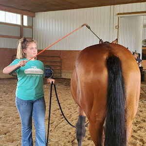 Meet your Posher, Hailey